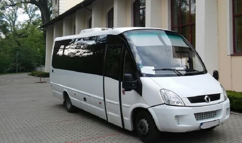 Bus order in Nova Gorica